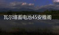 瓦尔塔蓄电池45安雅阁骐达思域雨燕逍客阳光轩逸瑞纳天语汽车电瓶 瓦尔塔蓄电池45安雅阁骐达思域雨燕逍客阳光轩逸瑞纳天语汽车电瓶机