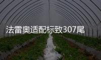 法雷奥适配标致307尾灯总成 小嘴三厢尾灯罩汽车后尾灯 正品配件 法雷奥适配标致307尾灯总成 小嘴三厢尾灯罩汽车后尾灯 正品配件机