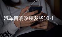 汽车音响改装发烧10寸12寸双磁双音圈超重低音车载无源低音炮喇叭 汽车音响改装发烧10寸12寸双磁双音圈超重低音车载无源低音炮喇叭机
