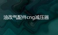油改气配件cng减压器单点减压阀洛瓦托减压器汽车天然气配件改装机