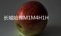 长城哈弗M1M4H1H2H5H6H7汽车同轴喇叭音响全频6.5寸改装重低音炮机