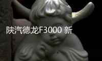 陕汽德龙F3000 新M3000 X3000 L3000大货车专用汽车吹尘枪吹气枪 陕汽德龙F3000 新M3000 X3000 L3000大货车专用汽车吹尘枪吹气枪机