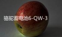 骆驼蓄电池6-QW-36适用于本田飞度哥瑞理念锋范铃木奥拓汽车电瓶B 骆驼蓄电池6-QW-36适用于本田飞度哥瑞理念锋范铃木奥拓汽车电瓶B机