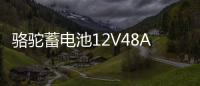 骆驼蓄电池12V48AH适配五菱荣光之光北汽58500低温强劲汽车电瓶 骆驼蓄电池12V48AH适配五菱荣光之光北汽58500低温强劲汽车电瓶机