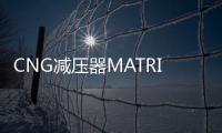 CNG减压器MATRIX意大利原装进口cng汽车天然气配件油改气减压阀 CNG减压器MATRIX意大利原装进口cng汽车天然气配件油改气减压阀机