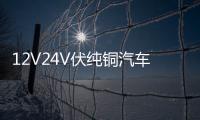 12V24V伏纯铜汽车电瓶充电器通用智能大功率农用车收割电瓶充电机 12V24V伏纯铜汽车电瓶充电器通用智能大功率农用车收割电瓶充电机机